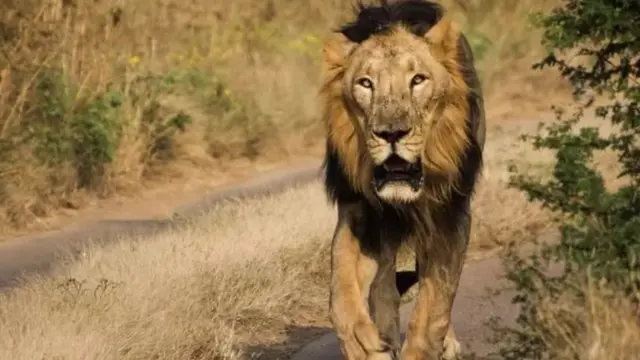 மலேசிய முன்னாள் பிரதமர் நஜிப் ரஸாக்