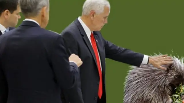 نشر بنس لاحقا تغريدة أخرى سخر منها من هذه الحادثة واستبدل صورة القطعة بصورة حيوان شائك يسمى الشيهم