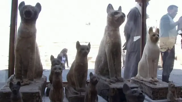 Reeffa bineensotaa argaman