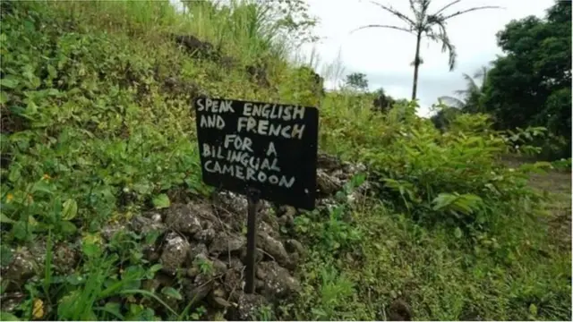 కామెరూన్