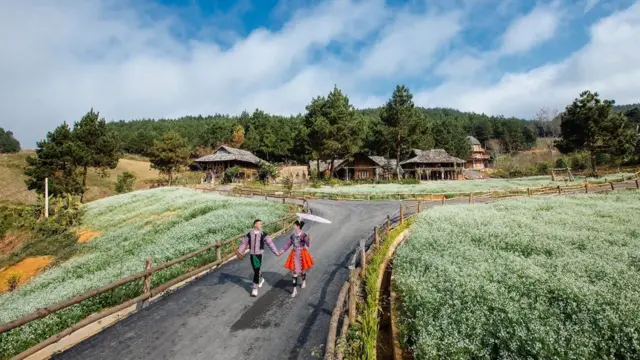 Nordic Village, homestay được xây dựng khá quy củ với vườn cải trắng thu hút nhiều du khách
