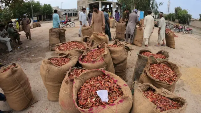 مرچوں کا کاروبار متاثر