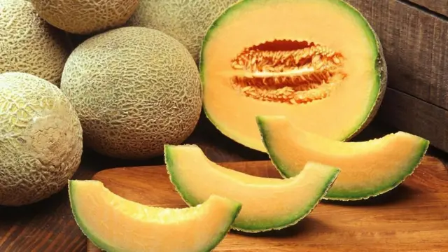 Melão Cantaloupe