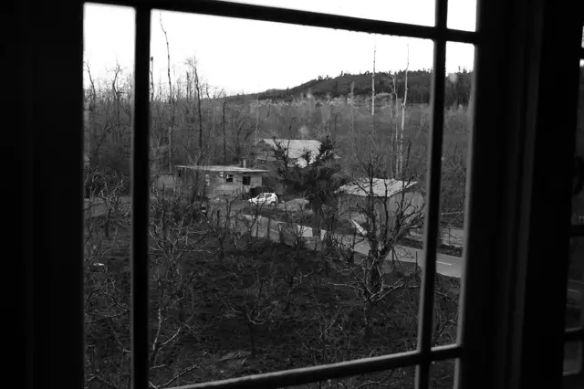 کھڑکی سے باہر کا منظر