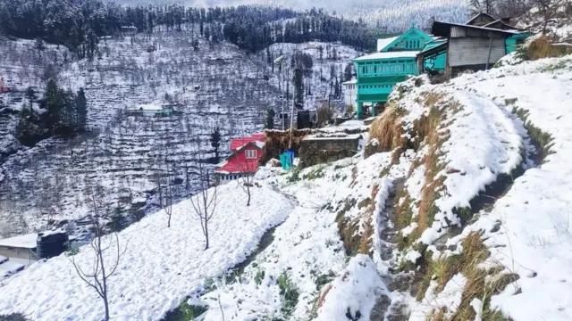 हिमाचल के शिमला में हुई बर्फबारी