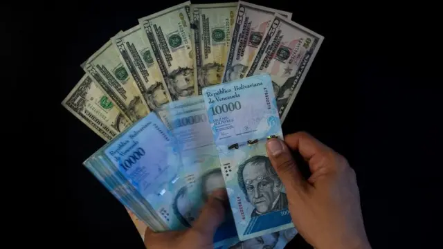 Dólares e bolívares venezulanos.