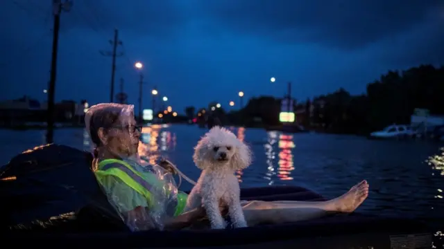 One woman and her dog dey wait for help on top one airbed wey dey float