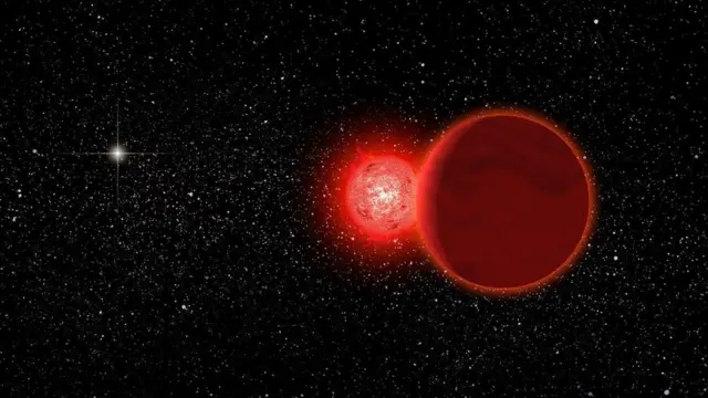 Звезда Шольца