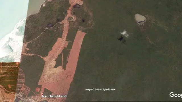 විල්පත්තුව ආශ්‍රිත එළිකිරීම්