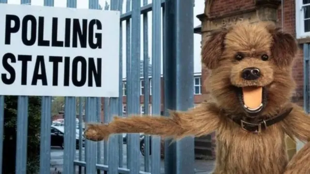 வாக்குச்சாவடிக்கு வெளியே காத்திருக்கும் போது யாராவது தனக்கு பிஸ்கட் தரமாட்டார்களா என்று எதிர்பார்ப்புடன் காத்திருக்கும் ஹேக்கர் டி என்ற நாய்