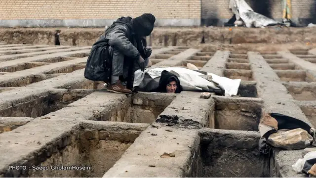 گورخواب‌ها