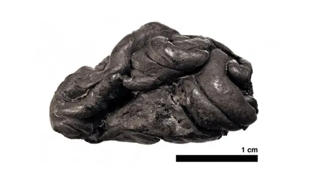 آدامس چند هزار ساله از جنس قطران توس