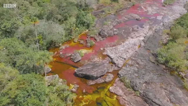 రెయిన్‌బో నది