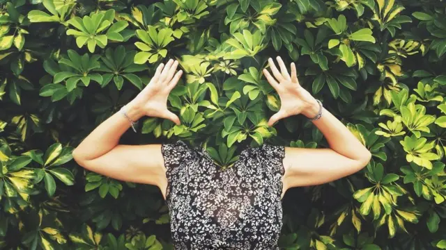 （图片来源：Alamy）