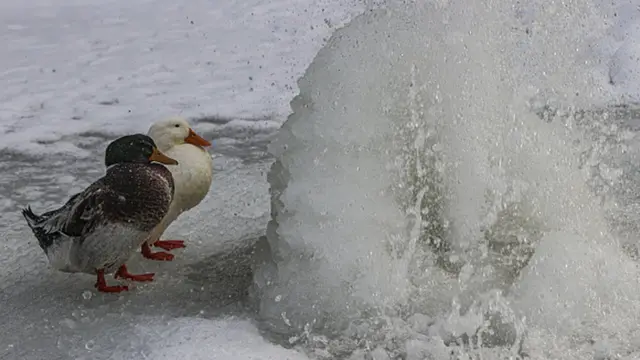Снегопад в Турции