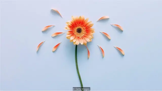 પ્રતિકાત્મક તસ્વીર