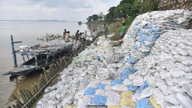 'பாம்பு, வெள்ளம், டால்பின்'- பிரம்மபுத்திரா நதியில் ஒரு பயணம்