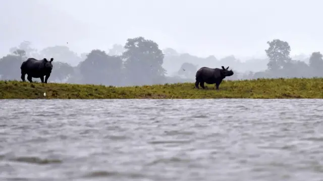 असम में बाढ़