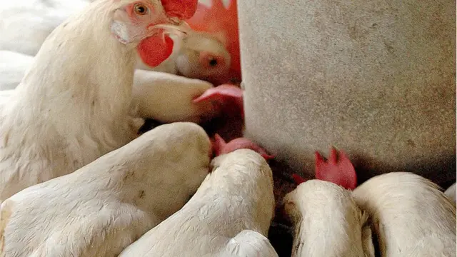 Jerking off katta klits Rus toliq metrajli porno film