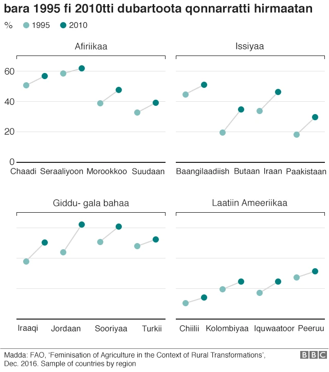 Giraafii dubartoota A.L.A bara 1995 hanga 2010'tti hirmaatan agarsiisu