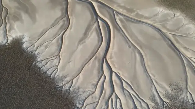 ภาพคล้ายต้นไม้ในทะเลสาบ