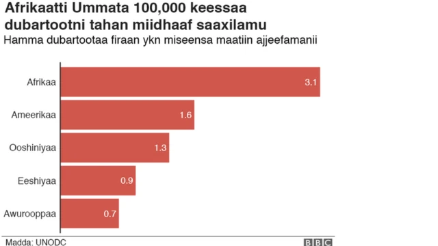 Ragaa ajjeechaa dubartoota irra gahu agarsiisu