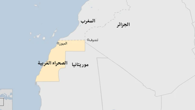 الصخراء الغربية