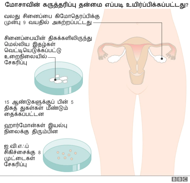 மோசாவின் கருத்தரிப்பு தன்மையை விளக்கும் படம்