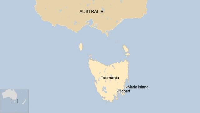 A map showing where Maria Island is in Tasmania
