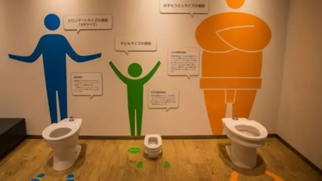 ફ્લશ ટોઈલેટ્સ