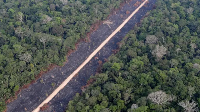 Una carretera atraviesa la selva amazónica cerca de Porto Velho, estado de Rondonia, Brasil, 14 de agosto 2020