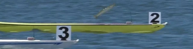 fish soaring out of water between rowing boats