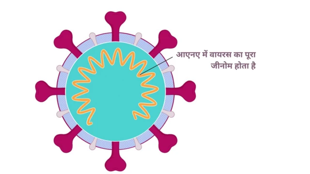 एक अकेला कोरोना वायरस
