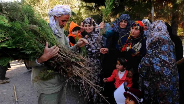 ا د هېچا ذهن ته نه ورځي چې همدا بوټي او ونې څومره زموږ په فزیکي او روحي روغتیا ښه اغیز کوي.