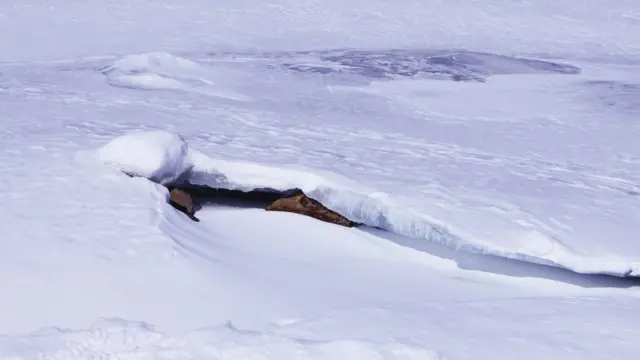paisaje nevado en el parque La Jacques Cartier.