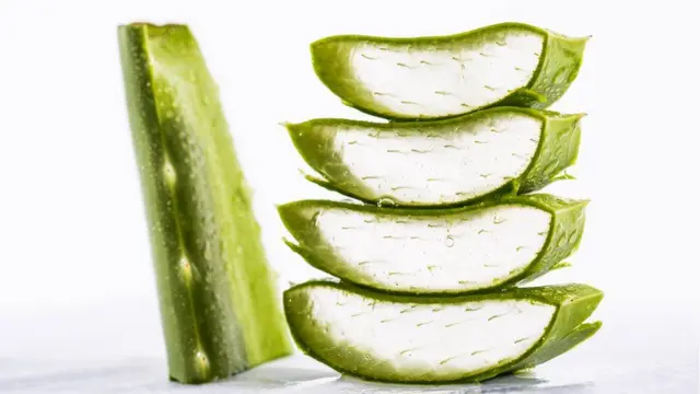 हर्बल कॉन्डम