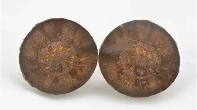 Cairncross souligne que les sphères sont loin d'être un mystère, et encore moins une trace possible du passage d'êtres extraterrestres sur notre planète.