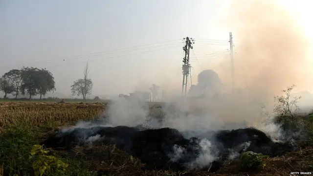 शेजारच्या राज्यांमध्ये शेतं अशी पेटवली जातात.