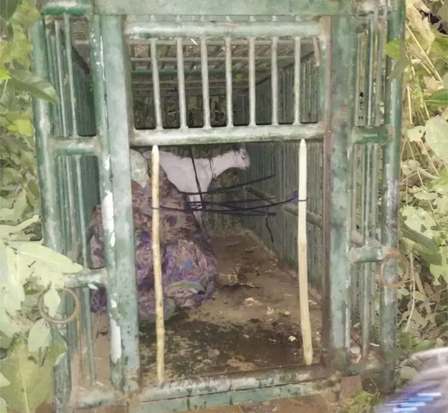 જંગલમાં દીપડાને પકડવા માટે પિંજરૂ મુકવામાં આવ્યું