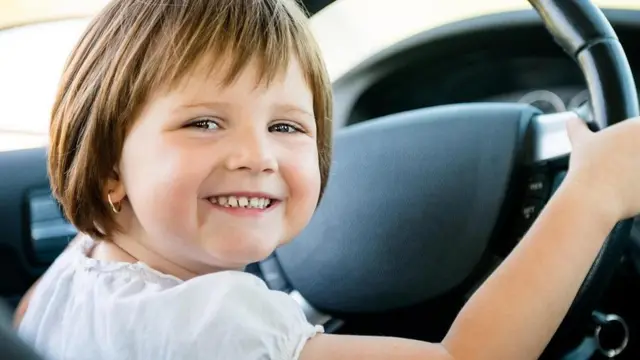 Маляк за кермом