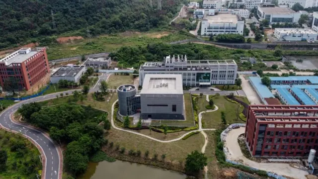 Instituto de Virología de Wuhan.