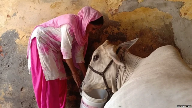 ਵਿਕਰਾਂਤ ਸਿਹਰਾਵਤ