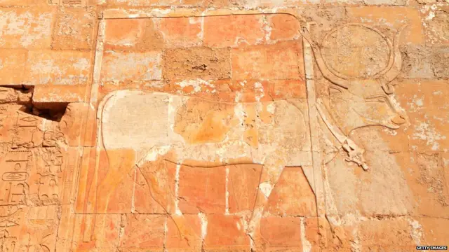 'हाथोर' को प्रेम, आनंद, संगीत और नृत्य का प्रतीक माना जाता है