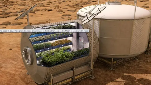 Raafuu salaaxaa hawaa irratti biqilfame