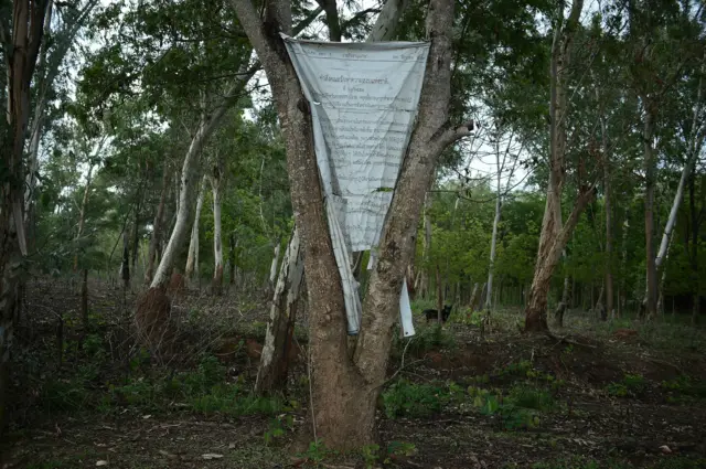 สุภาพ คำแหล้ เด่น คำแหล้ ทวงคืนผืนป่า คสช