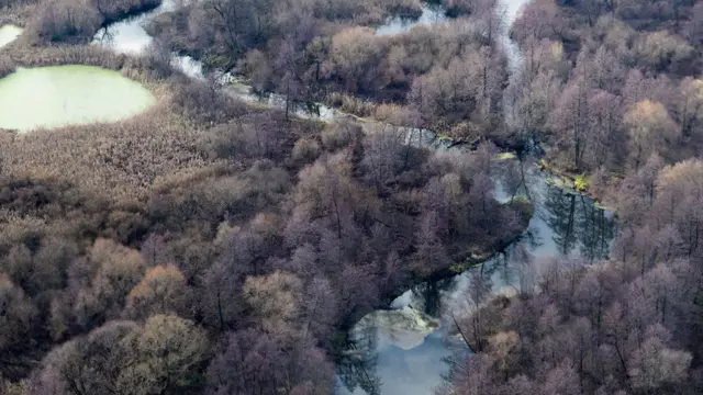 Файна Юкрайна