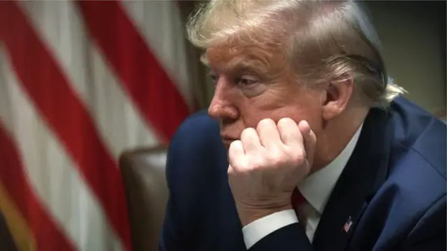 ٹرمپ، ڈونلڈ ٹرمپ، امریکہ