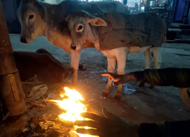 कामधेनु गौ विज्ञान प्रचार प्रसार परीक्षा