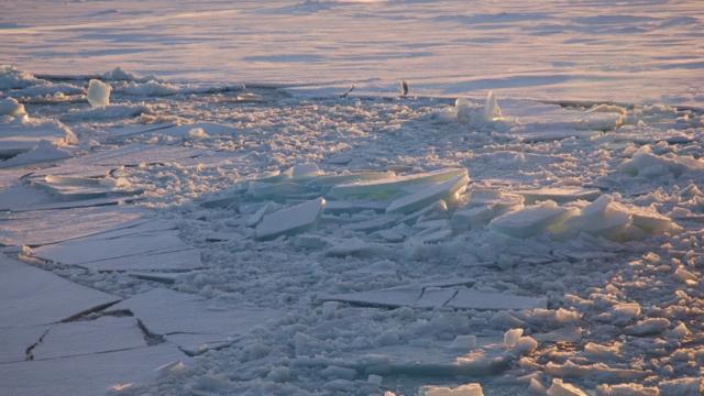 Última áreaapp de ganhar dinheiro blazegelo ártico