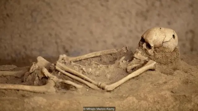 कवटी, शास्त्र, पुरातत्व